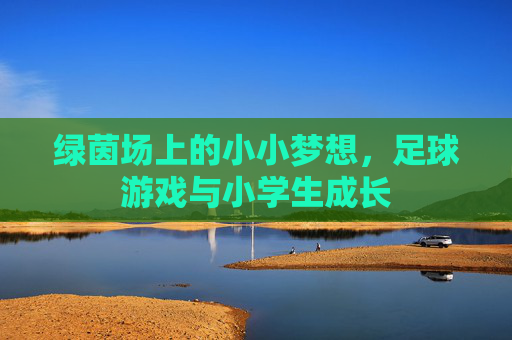 绿茵场上的小小梦想,足球游戏与小学生成长