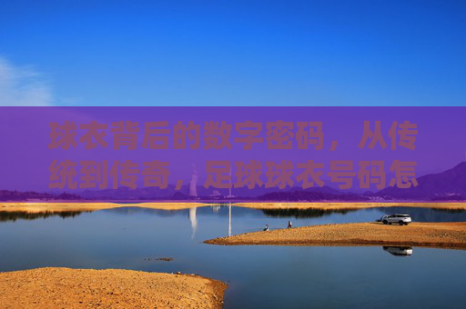 球衣背后的数字密码,从传统到传奇,足球球衣号码怎么取的?