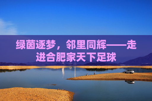 绿茵逐梦,邻里同辉——走进合肥家天下足球