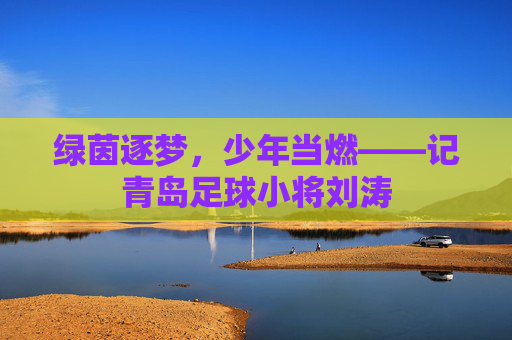 绿茵逐梦,少年当燃——记青岛足球小将刘涛