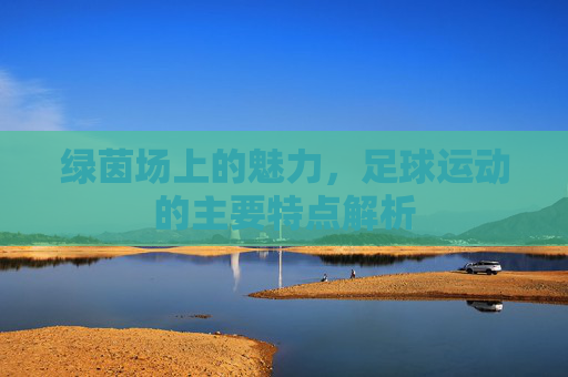 绿茵场上的魅力，足球运动的主要特点解析