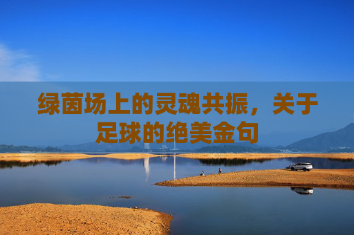 绿茵场上的灵魂共振,关于足球的绝美金句