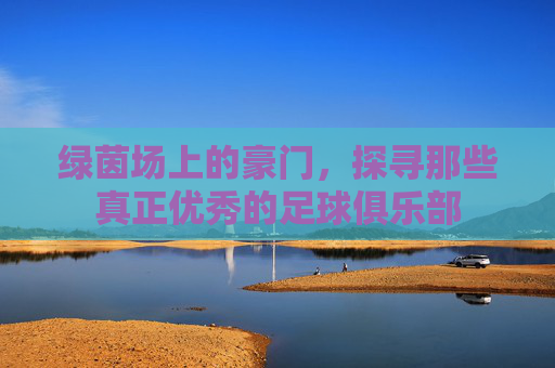 绿茵场上的豪门,探寻那些真正优秀的足球俱乐部
