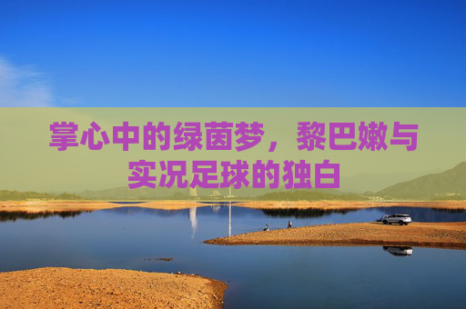 掌心中的绿茵梦,黎巴嫩与实况足球的独白