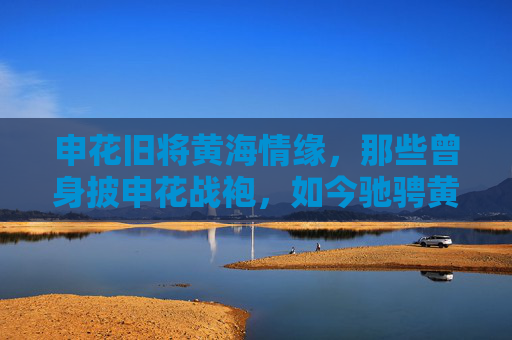 申花旧将黄海情缘,那些曾身披申花战袍,如今驰骋黄海的球员