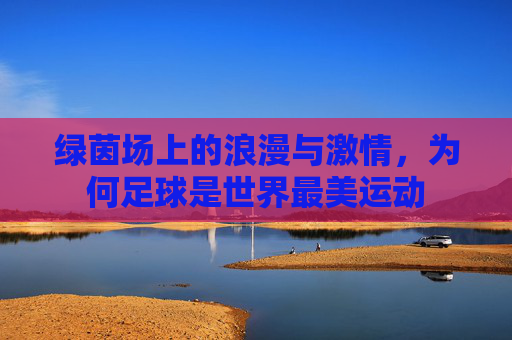 绿茵场上的浪漫与激情，为何足球是世界最美运动