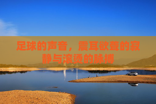 足球的声音,震耳欲聋的寂静与滚烫的脉搏