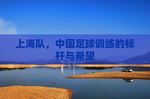 上海队,中国足球训练的标杆与希望
