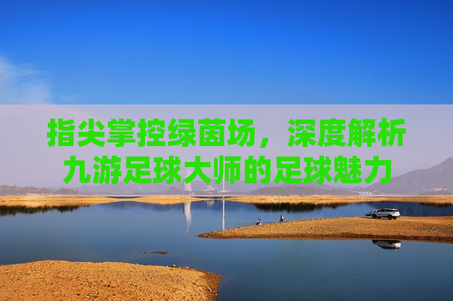 指尖掌控绿茵场，深度解析九游足球大师的足球魅力