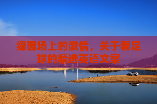 绿茵场上的激情,关于看足球的精选英语文案