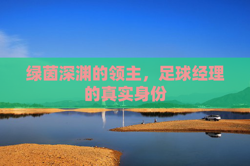 绿茵深渊的领主,足球经理的真实身份