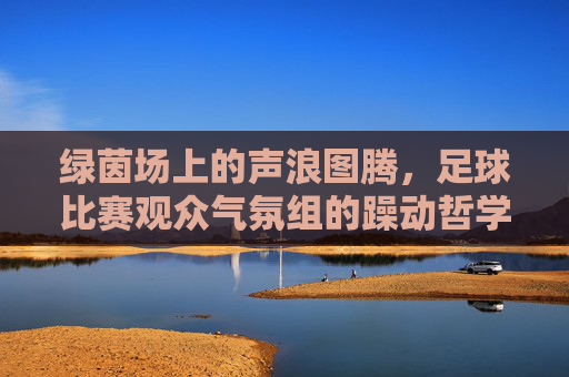 绿茵场上的声浪图腾,足球比赛观众气氛组的躁动哲学