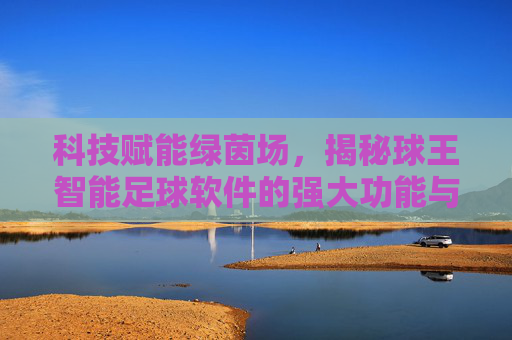 科技赋能绿茵场，揭秘球王智能足球软件的强大功能与实战价值