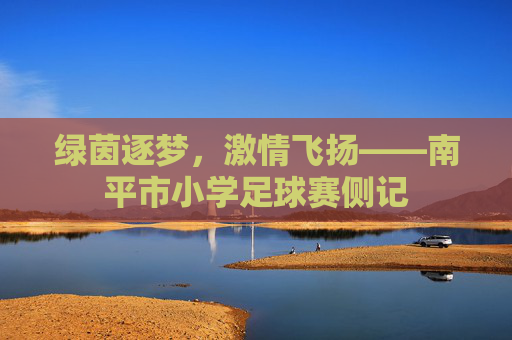 绿茵逐梦,激情飞扬——南平市小学足球赛侧记