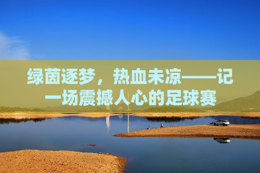 绿茵逐梦，热血未凉——记一场震撼人心的足球赛