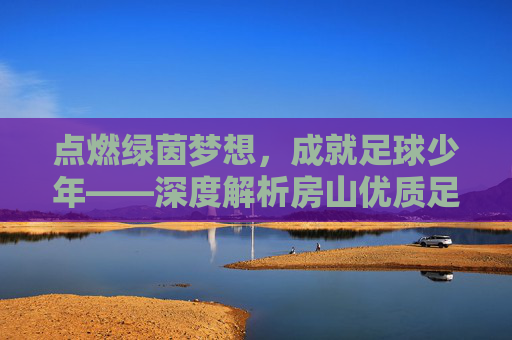 点燃绿茵梦想，成就足球少年——深度解析房山优质足球培训班