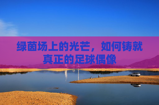 绿茵场上的光芒,如何铸就真正的足球偶像