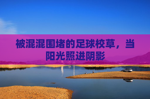 被混混围堵的足球校草,当阳光照进阴影