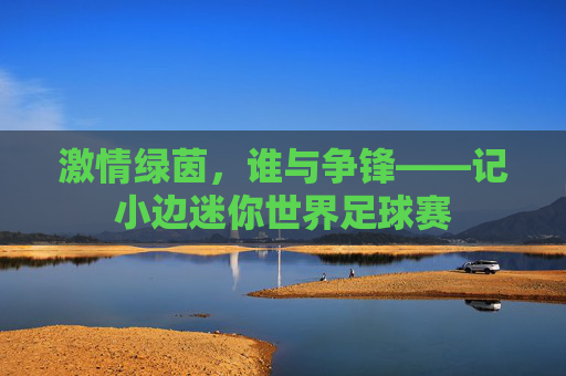 激情绿茵,谁与争锋——记小边迷你世界足球赛