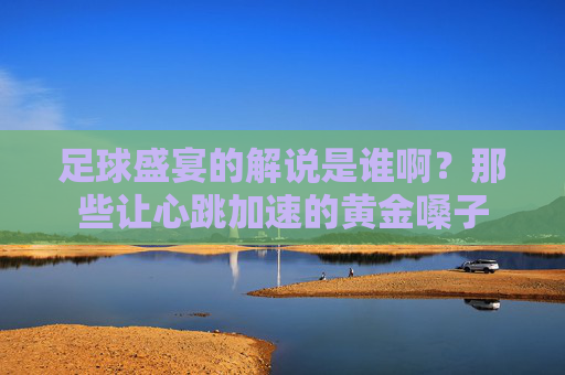 足球盛宴的解说是谁啊?那些让心跳加速的黄金嗓子