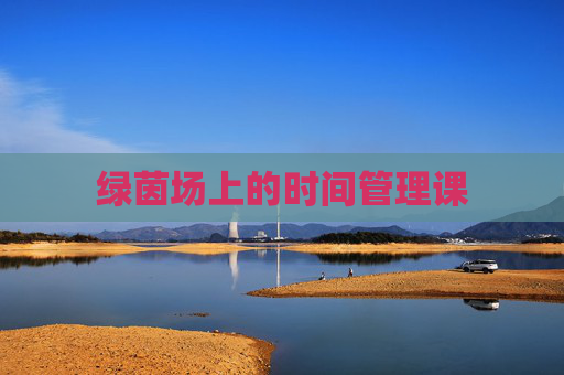 绿茵场上的时间管理课