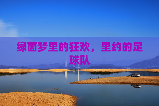 绿茵梦里的狂欢,里约的足球队