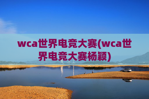 wca世界电竞大赛(wca世界电竞大赛杨颖)