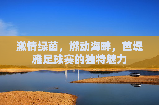 激情绿茵,燃动海畔,芭堤雅足球赛的独特魅力