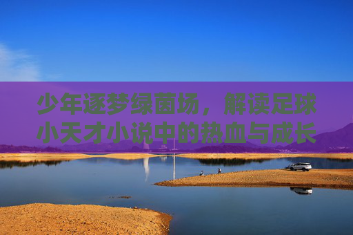 少年逐梦绿茵场,解读足球小天才小说中的热血与成长
