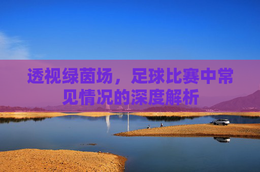 透视绿茵场,足球比赛中常见情况的深度解析
