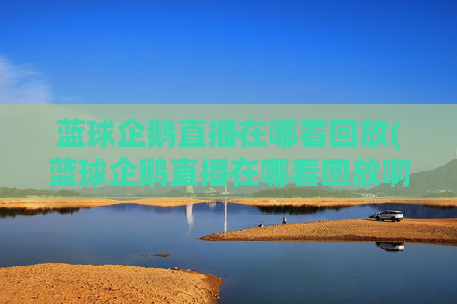 蓝球企鹅直播在哪看回放(蓝球企鹅直播在哪看回放啊)