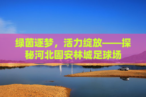 绿茵逐梦,活力绽放——探秘河北固安林城足球场