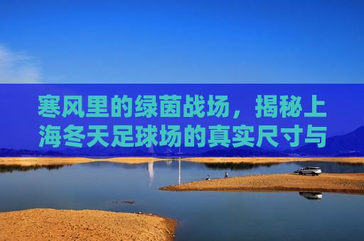 寒风里的绿茵战场,揭秘上海冬天足球场的真实尺寸与体验