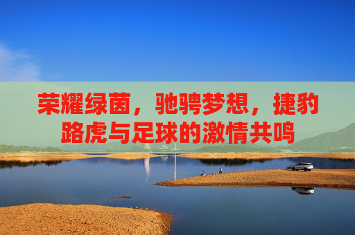 荣耀绿茵，驰骋梦想，捷豹路虎与足球的激情共鸣