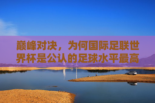巅峰对决,为何国际足联世界杯是公认的足球水平最高赛事