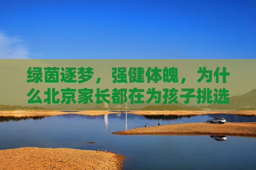 绿茵逐梦,强健体魄,为什么北京家长都在为孩子挑选专业的儿童足球训练班?