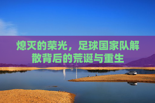 熄灭的荣光,足球国家队解散背后的荒诞与重生