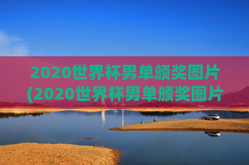 2020世界杯男单颁奖图片(2020世界杯男单颁奖图片大全)