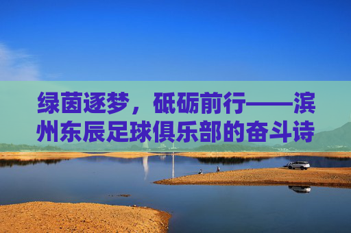 绿茵逐梦,砥砺前行——滨州东辰足球俱乐部的奋斗诗篇