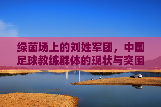 绿茵场上的刘姓军团,中国足球教练群体的现状与突围
