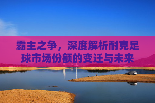 霸主之争,深度解析耐克足球市场份额的变迁与未来