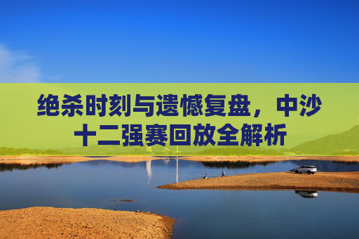 绝杀时刻与遗憾复盘,中沙十二强赛回放全解析