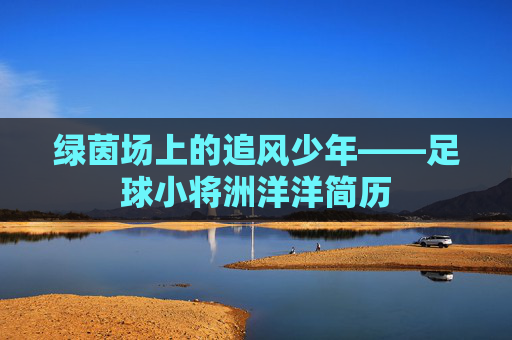 绿茵场上的追风少年——足球小将洲洋洋简历