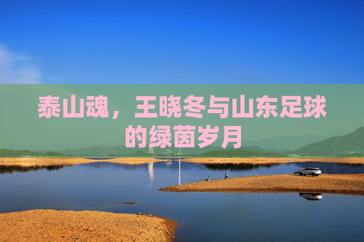 泰山魂,王晓冬与山东足球的绿茵岁月