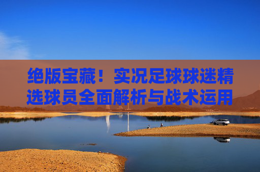 绝版宝藏!实况足球球迷精选球员全面解析与战术运用指南