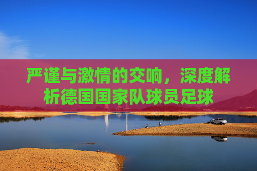 严谨与激情的交响,深度解析德国国家队球员足球