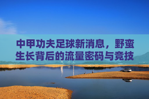 中甲功夫足球新消息，野蛮生长背后的流量密码与竞技困局
