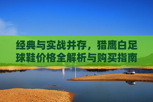 经典与实战并存，猎鹰白足球鞋价格全解析与购买指南