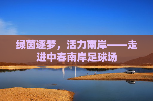 绿茵逐梦,活力南岸——走进中春南岸足球场