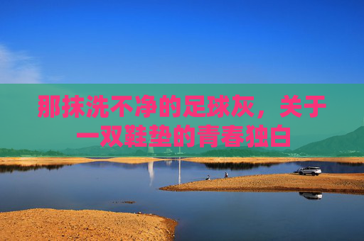 那抹洗不净的足球灰,关于一双鞋垫的青春独白